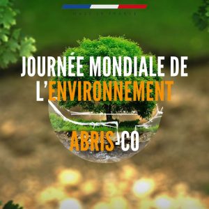 Journée environnement article